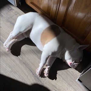 Meet your Posher, Elena